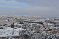 DSC 0009